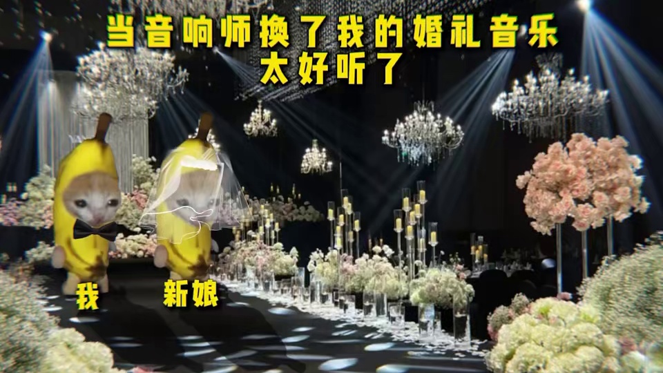 .当音响师换了我的婚礼音乐