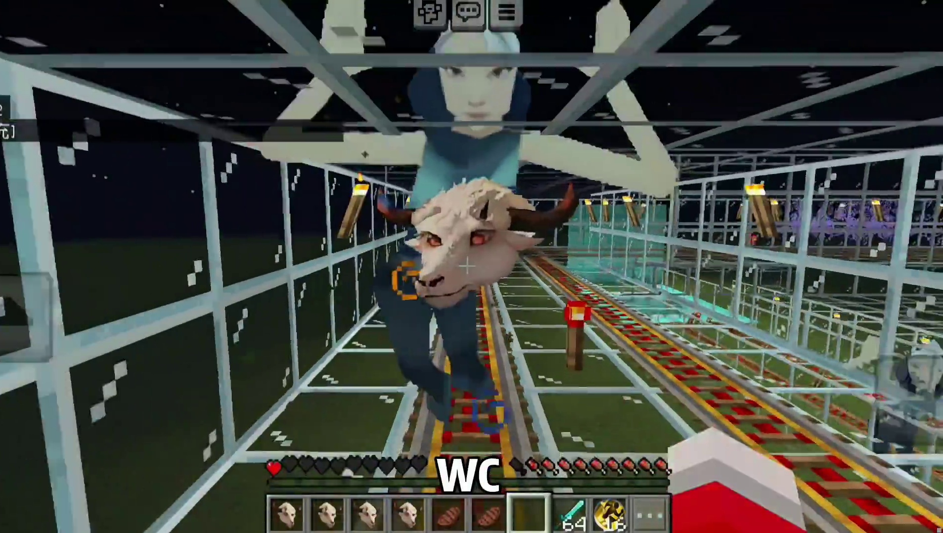 今天我们逃离的是瓦瓦