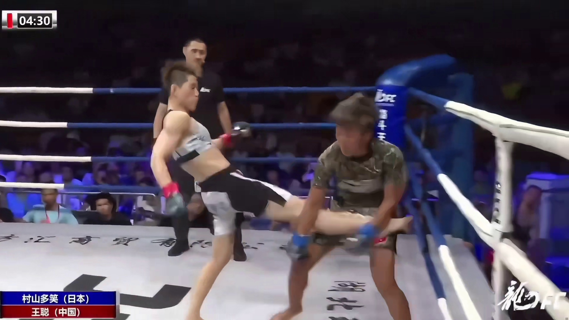 铿锵玫瑰绽放大冶！中国散打一姐王聪，重拳打得日本女将跪地投降