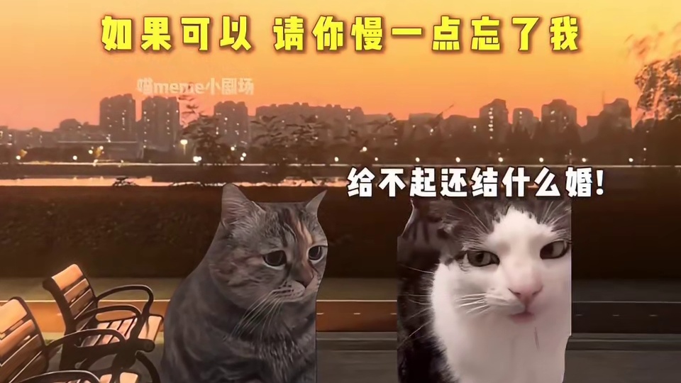 如果可以 请你慢一点忘记我。。