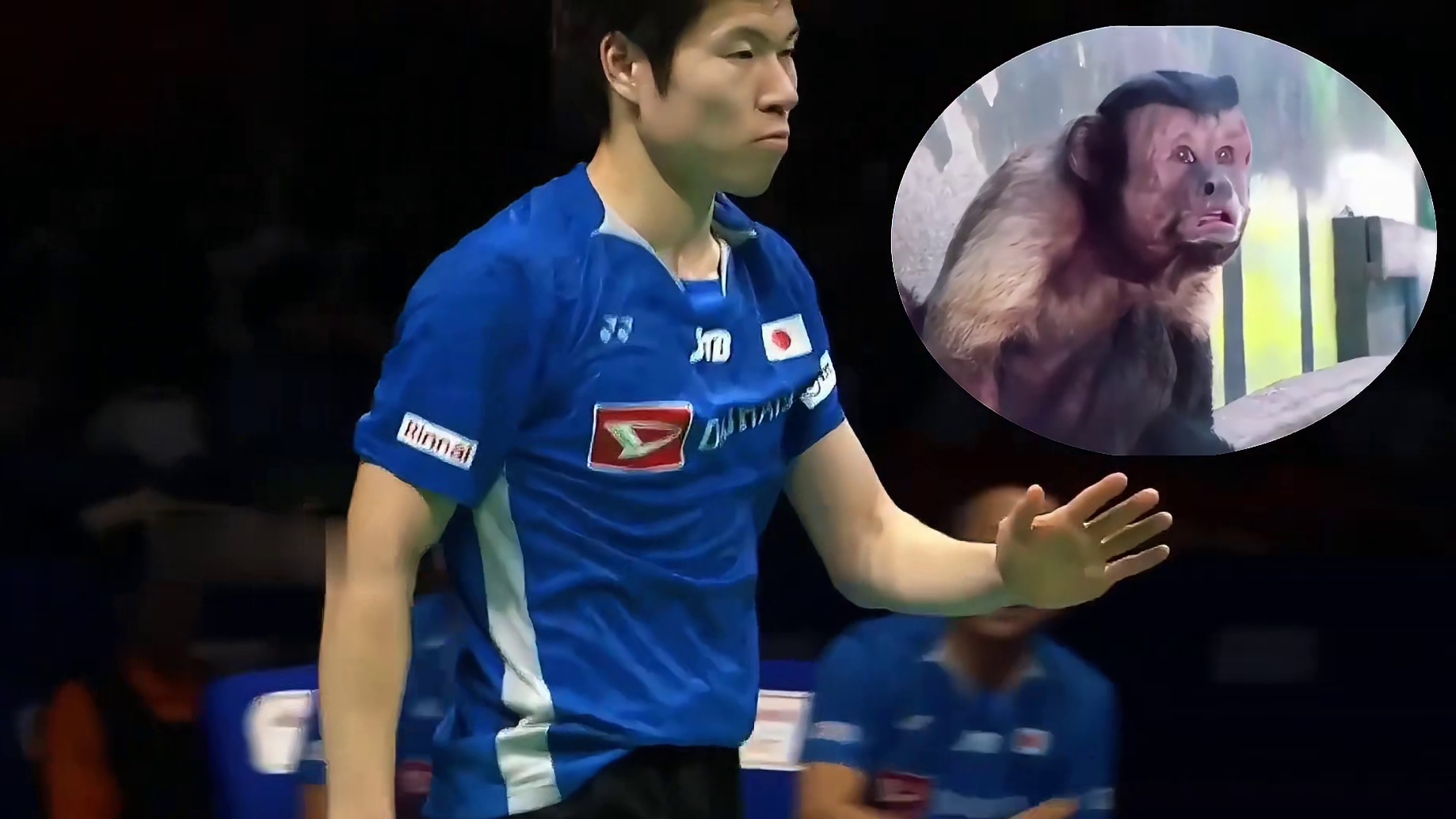 超级奇葩男 莫名其妙的红黄牌， 还有这个把安赛龙吓的瑟瑟发抖的裁判，中日大战看点多多！