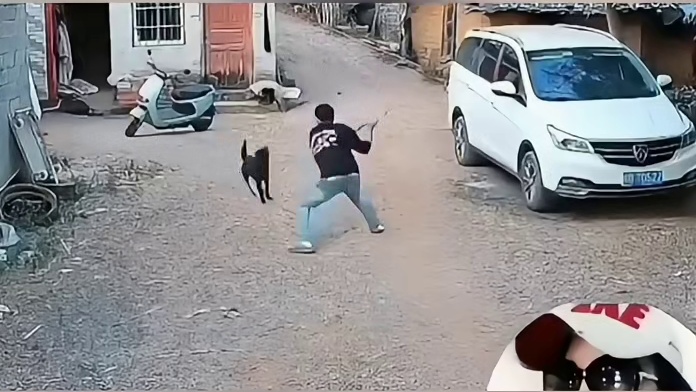 听说这一块总有恶狗拦截小孩