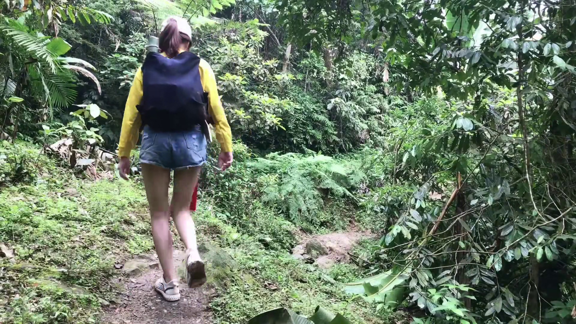 20260127 （完整视频4天）3000m森林里独自求生的女孩，4天生存｜MsYang Survi