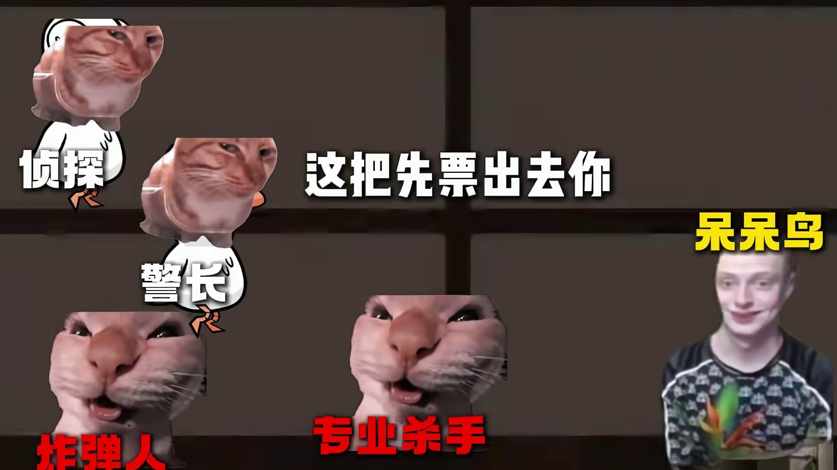 呆呆鸟只需要装傻就能获胜