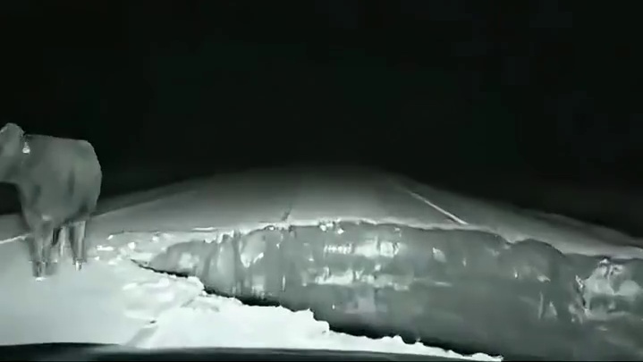 等我下去给你磕一个