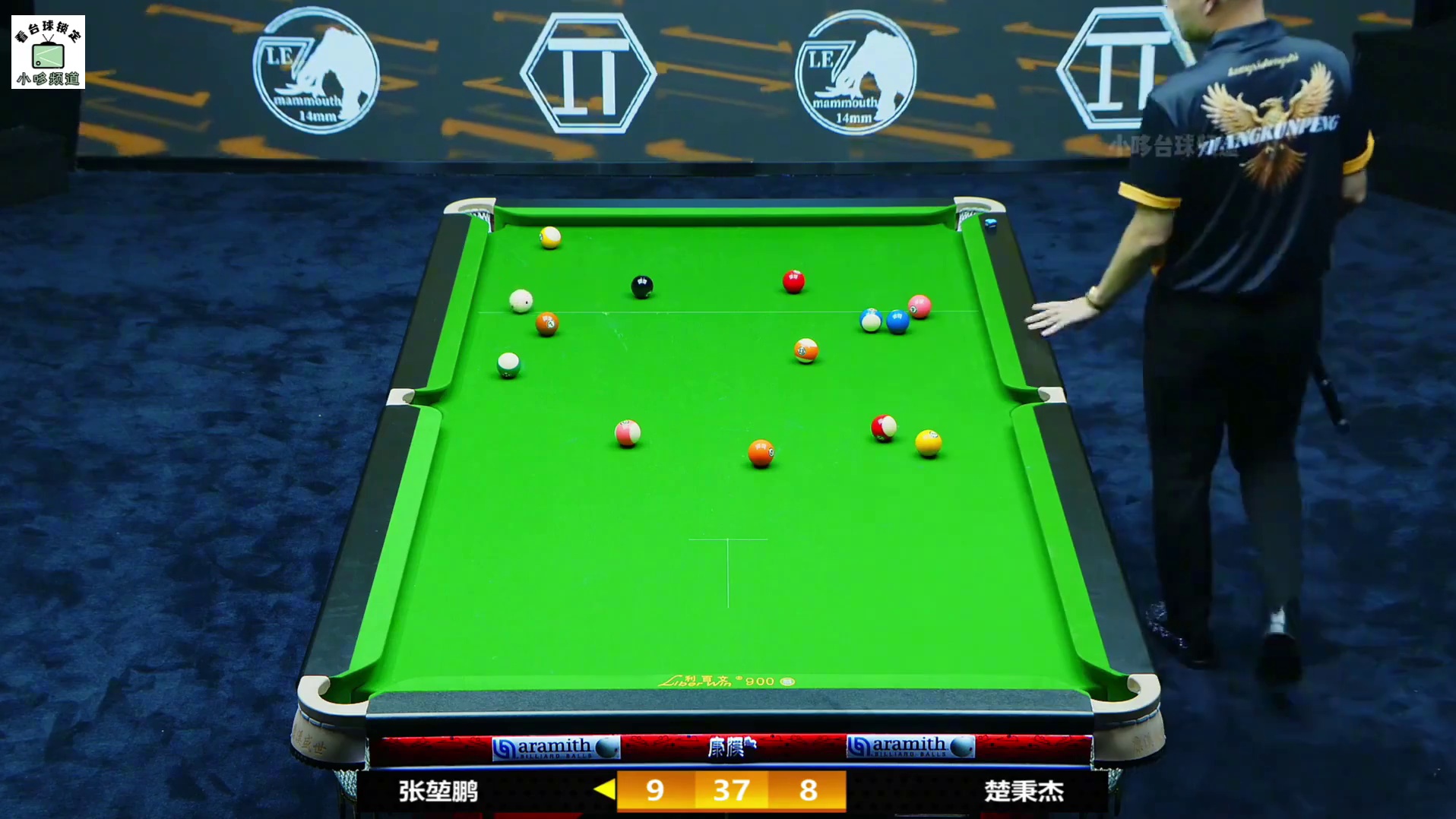 一波又一波的连胜！张堃鹏上演五连鞭，楚秉杰立马做出回应