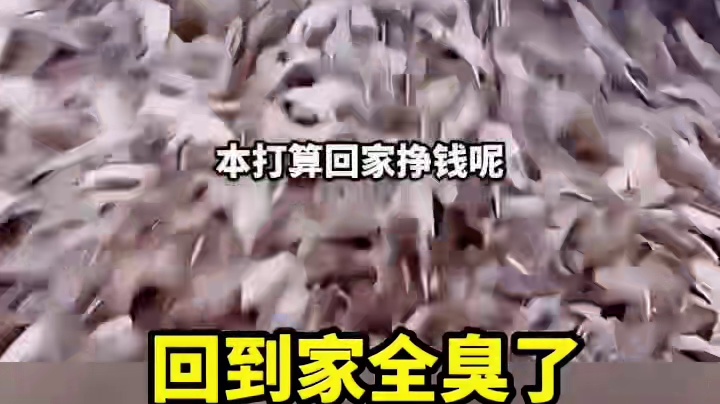 进了一车螃蟹回到家全臭了