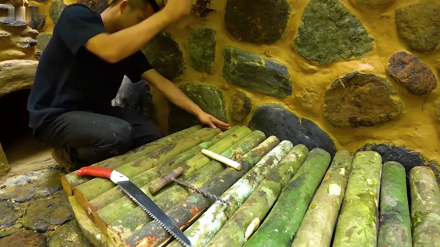 如果有天迷失荒野那这个隐藏在雨林中的庇护所一定能让你安全感满满 (2)