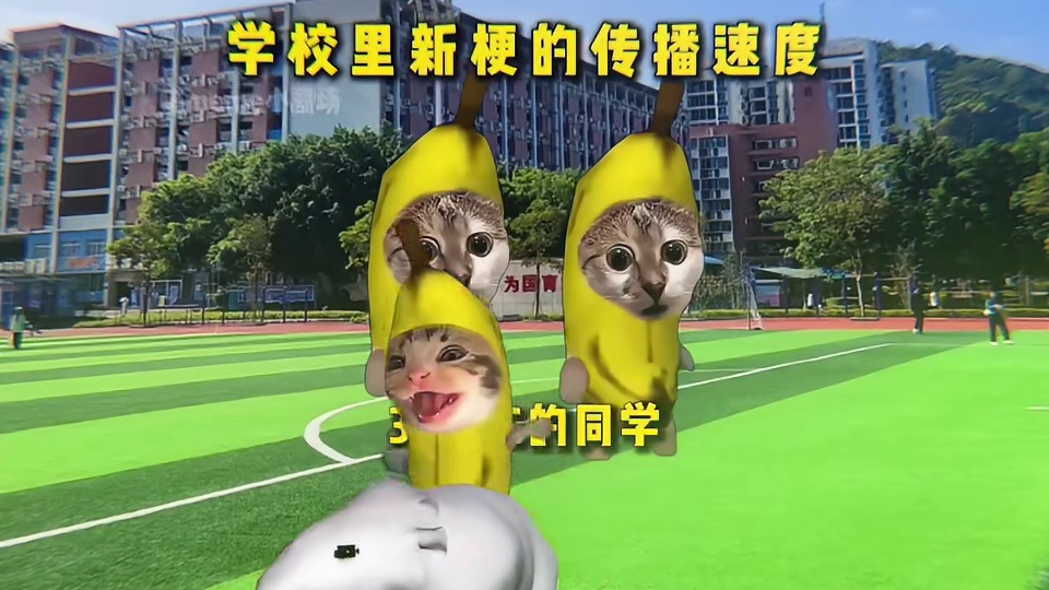 当我在学校里网速过快时