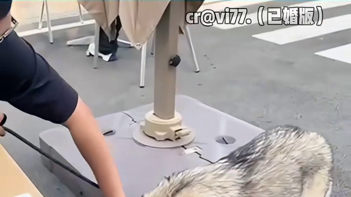 狗狗：我只喜欢女生