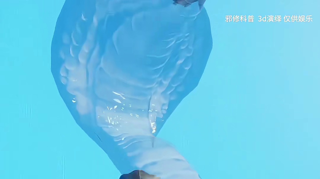 《动物心脏》邪修版