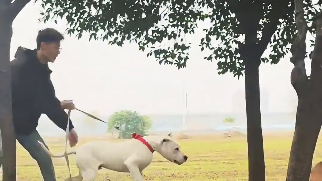 这就叫自作自受