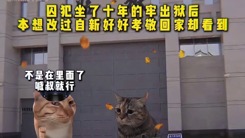 囚犯做了十年的牢 出狱后本想改过自新好好孝敬回家却看到。。。。