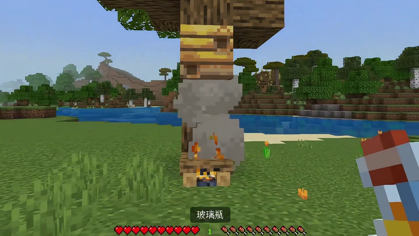 我的世界：盘点一些你不知道的冷知识！