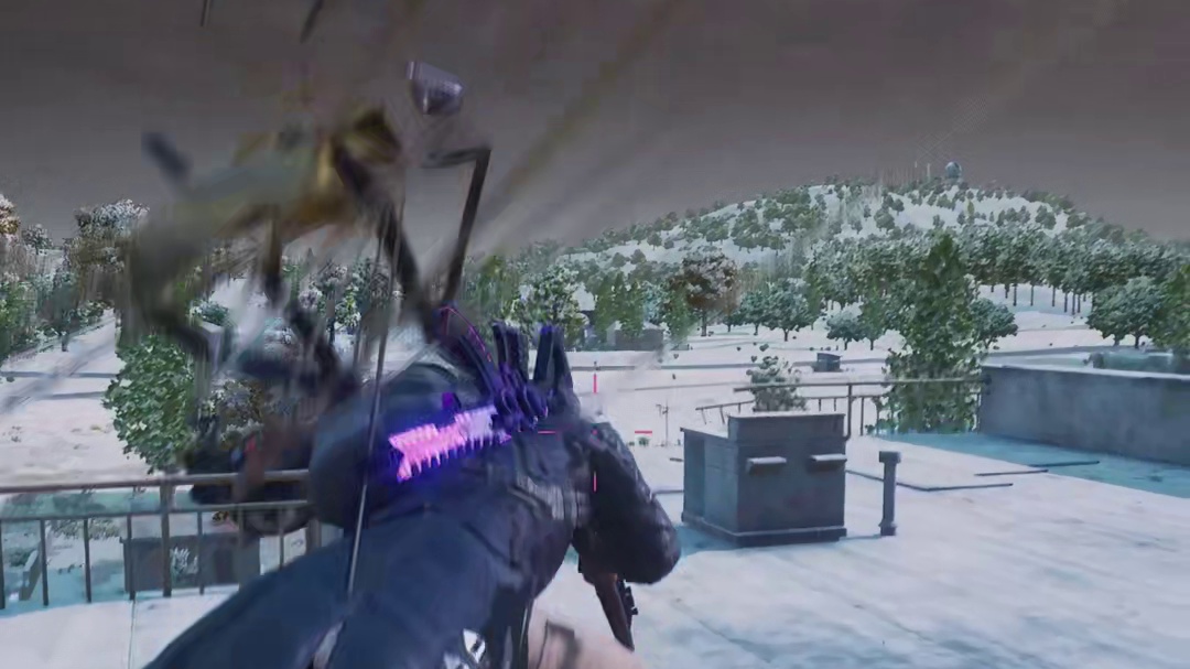 偏偏用心选的都是错的