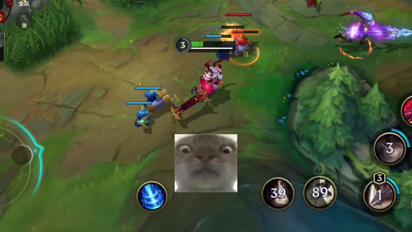 弗拉基米尔 -你才是真正的吸血鬼