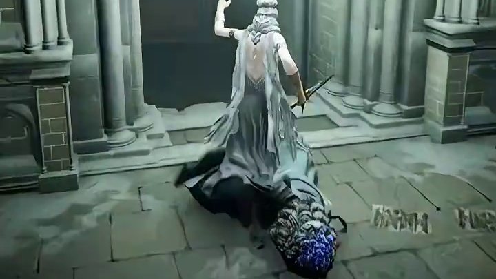 法环的秘密道具