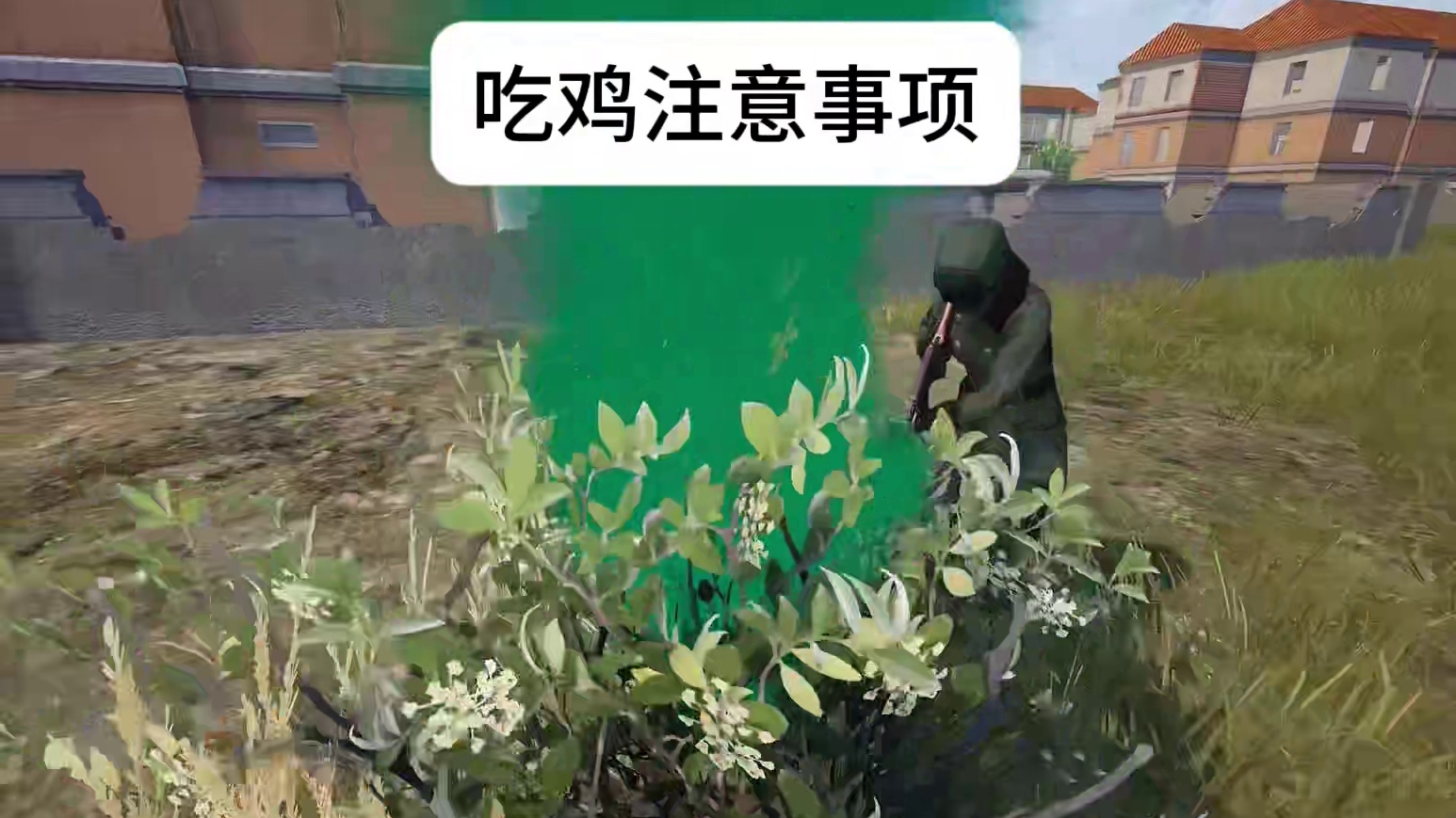 吃鸡注意事项 和平精英丝路贺新春