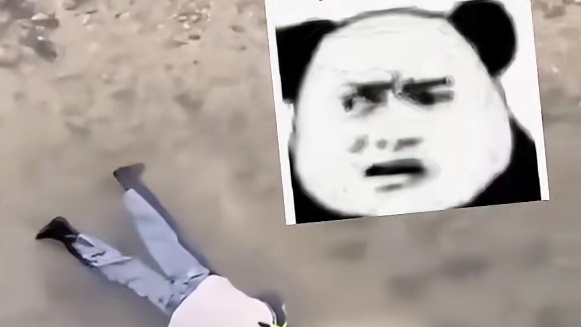 原来海底抓鱼抓螃蟹都是这么抓的