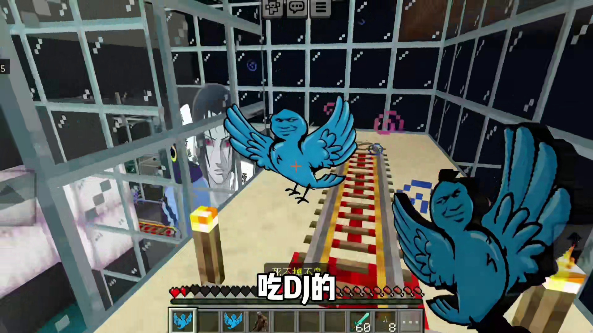 今天我们逃离的是疯狂的鸽子