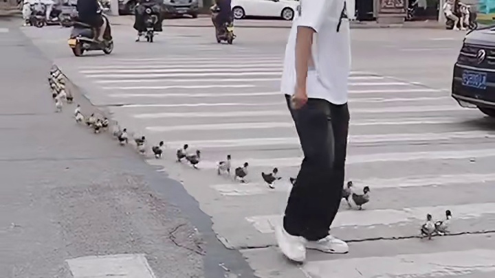加入大家庭吧