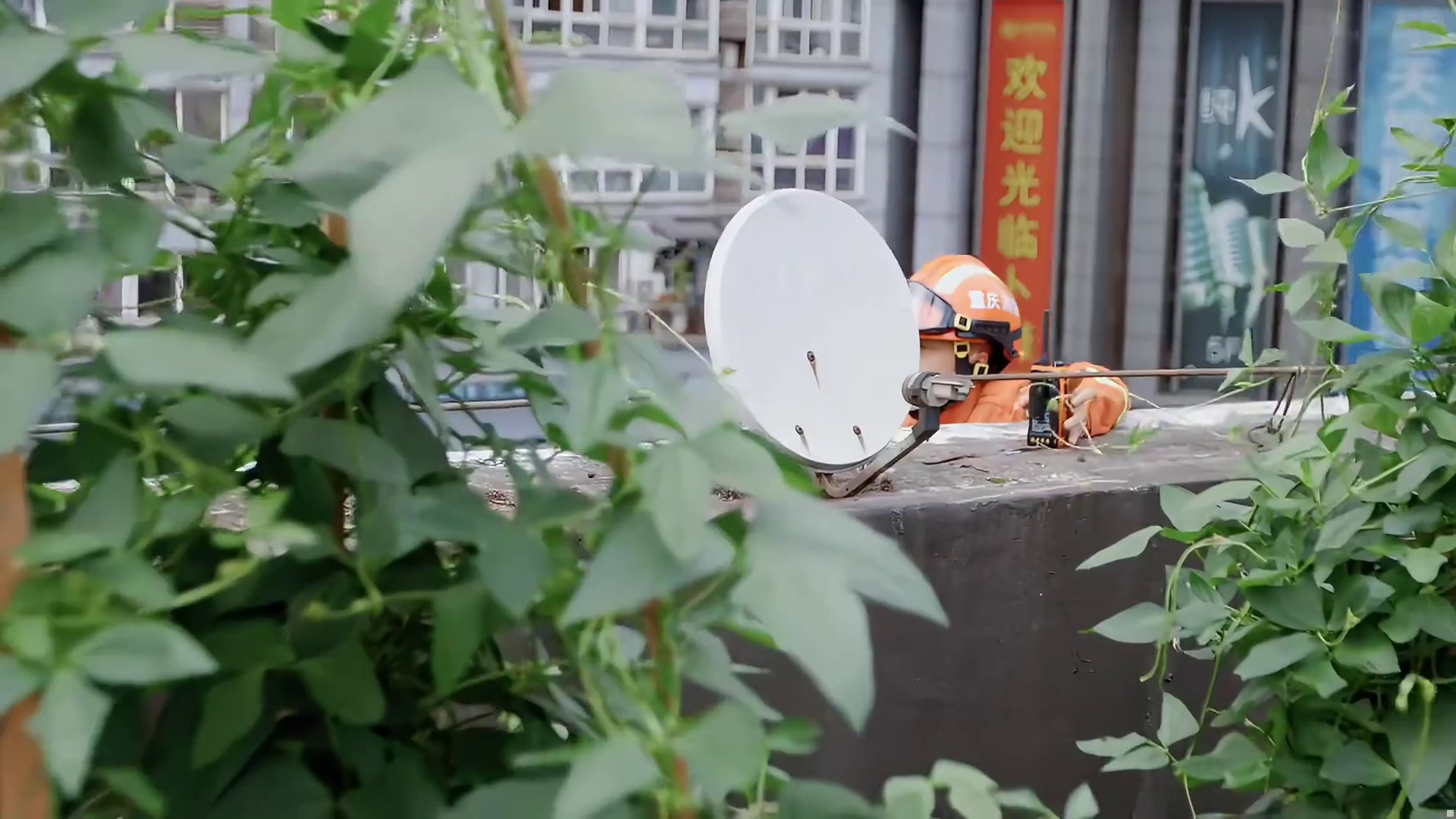 女孩在围观人群的起哄鼓噪中不堪压力，最终选择跳楼轻生