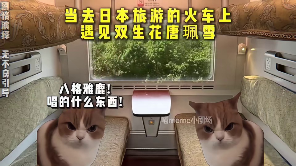 当去日本旅游的火车上遇见双生花唐珮雪