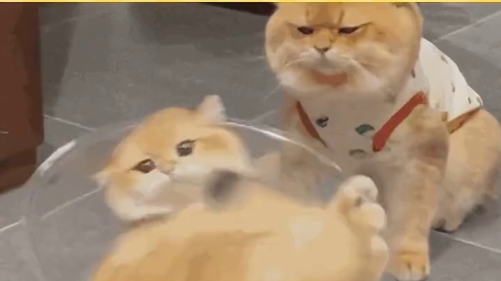 而你，我的朋友汗流浃背了吧！