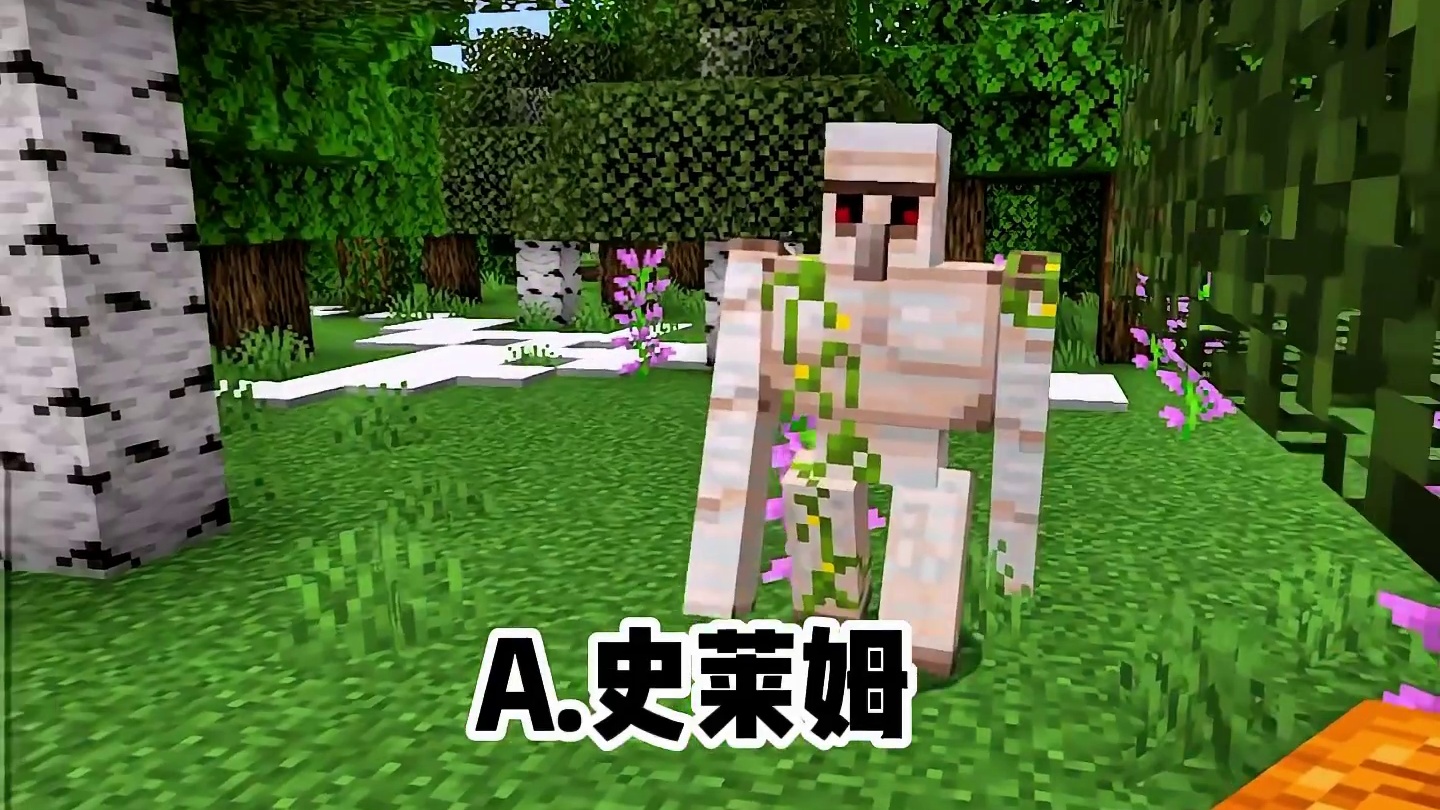 这个生物叫什么名字？