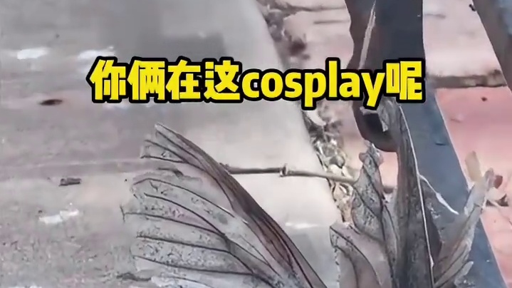 我觉得我还可以抢救一下