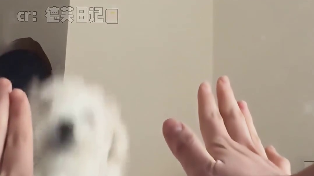 来来来，快来跟姨姨击掌