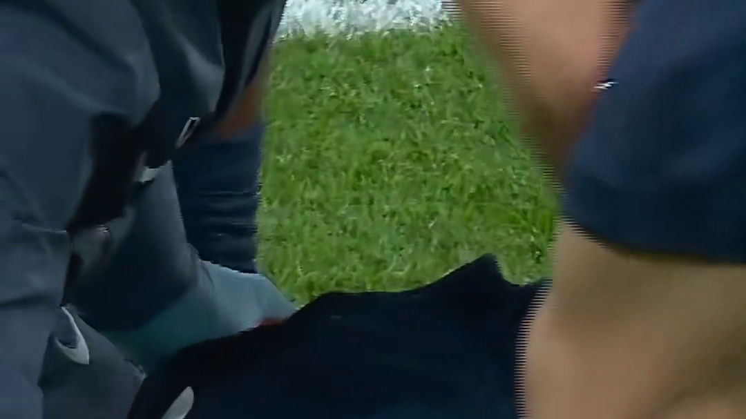 日思夜想的哈基米终于回来啦