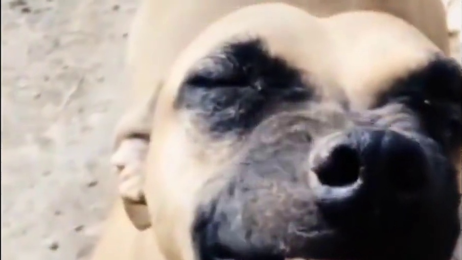 一把拼装枪，拼起两个时光！