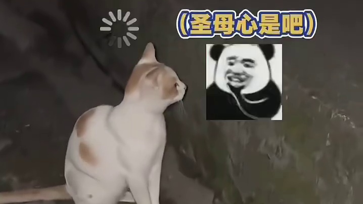 忘记收拾你了