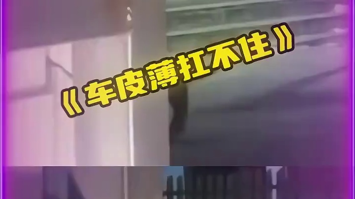 “给八路打电话”“你拿回去养呗”“咱车皮薄”