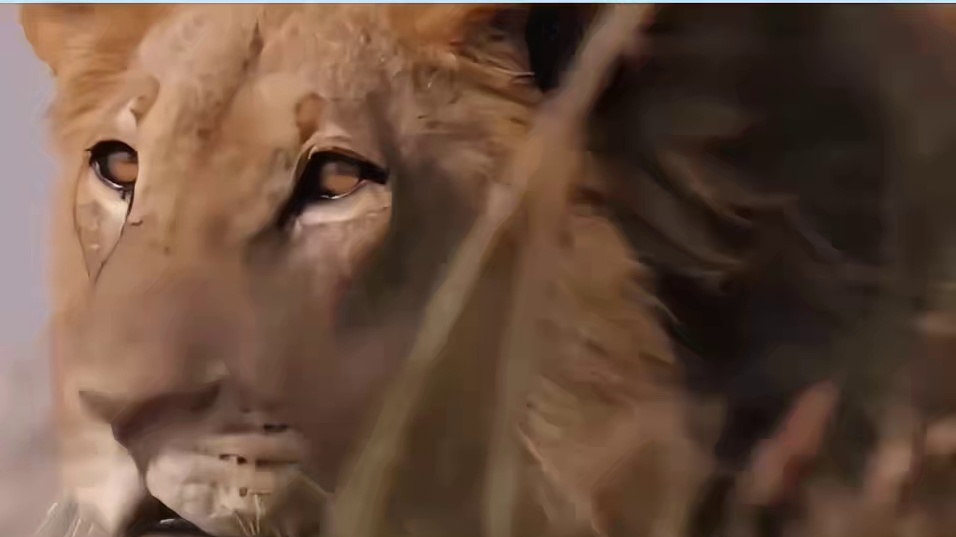 回去就写了篇《桃花源记》