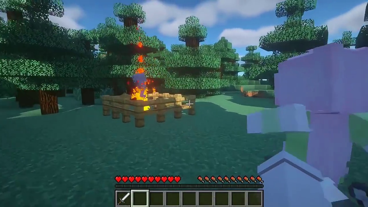 我的世界:惩罚两个可恶的坏蛋