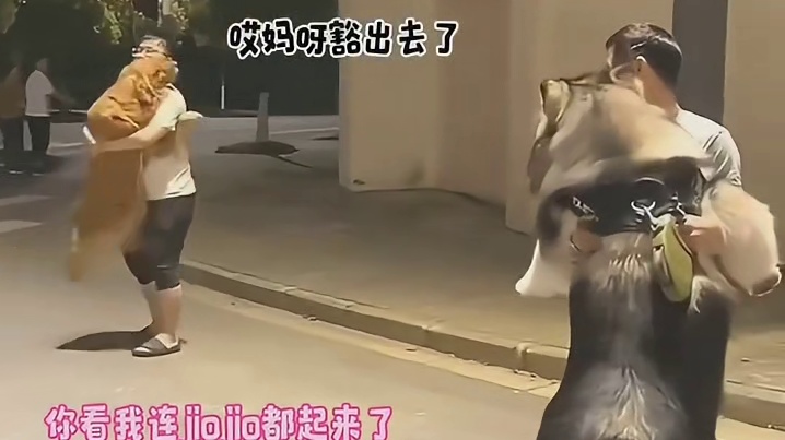 主人：这该死的虚荣心