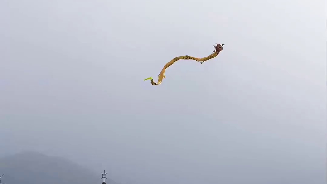 无人机表演，就找大成航空