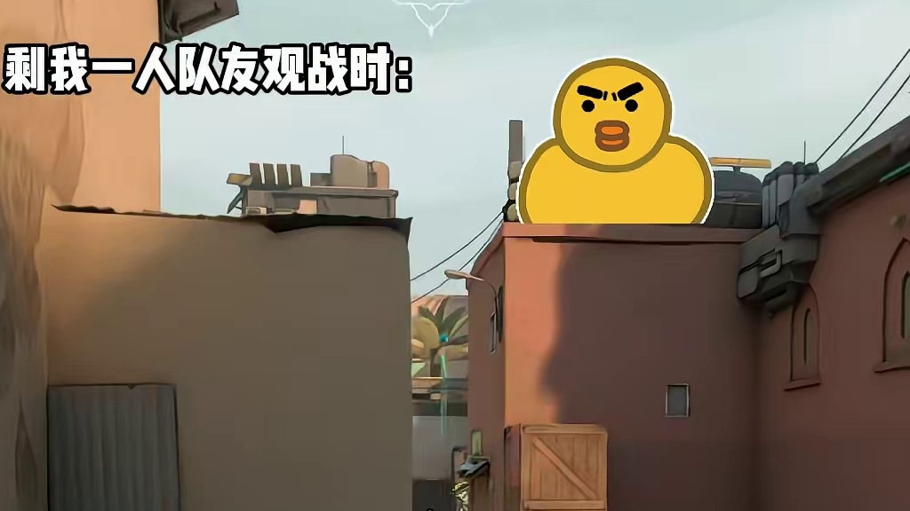 女瓦收到这样的夸奖真的会开心很久