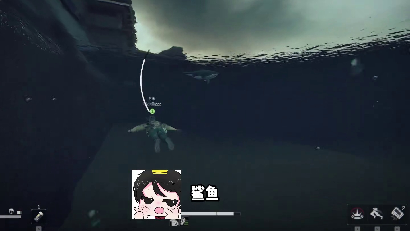 为什么鲨鱼会咬呆小鱼啊？