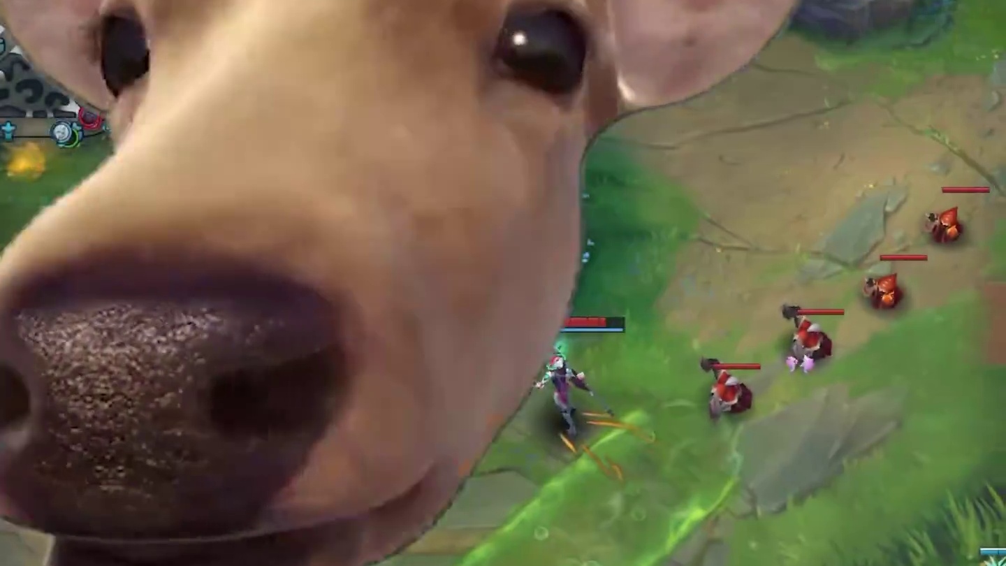 无限大招！人都看不见就得被秒！