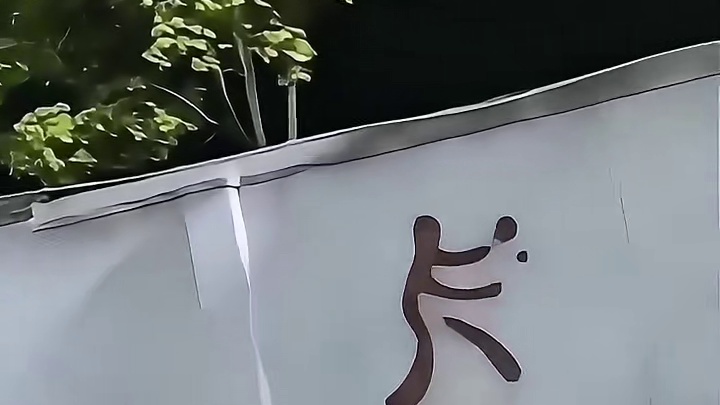 诡异！她天天和「谁」打球？