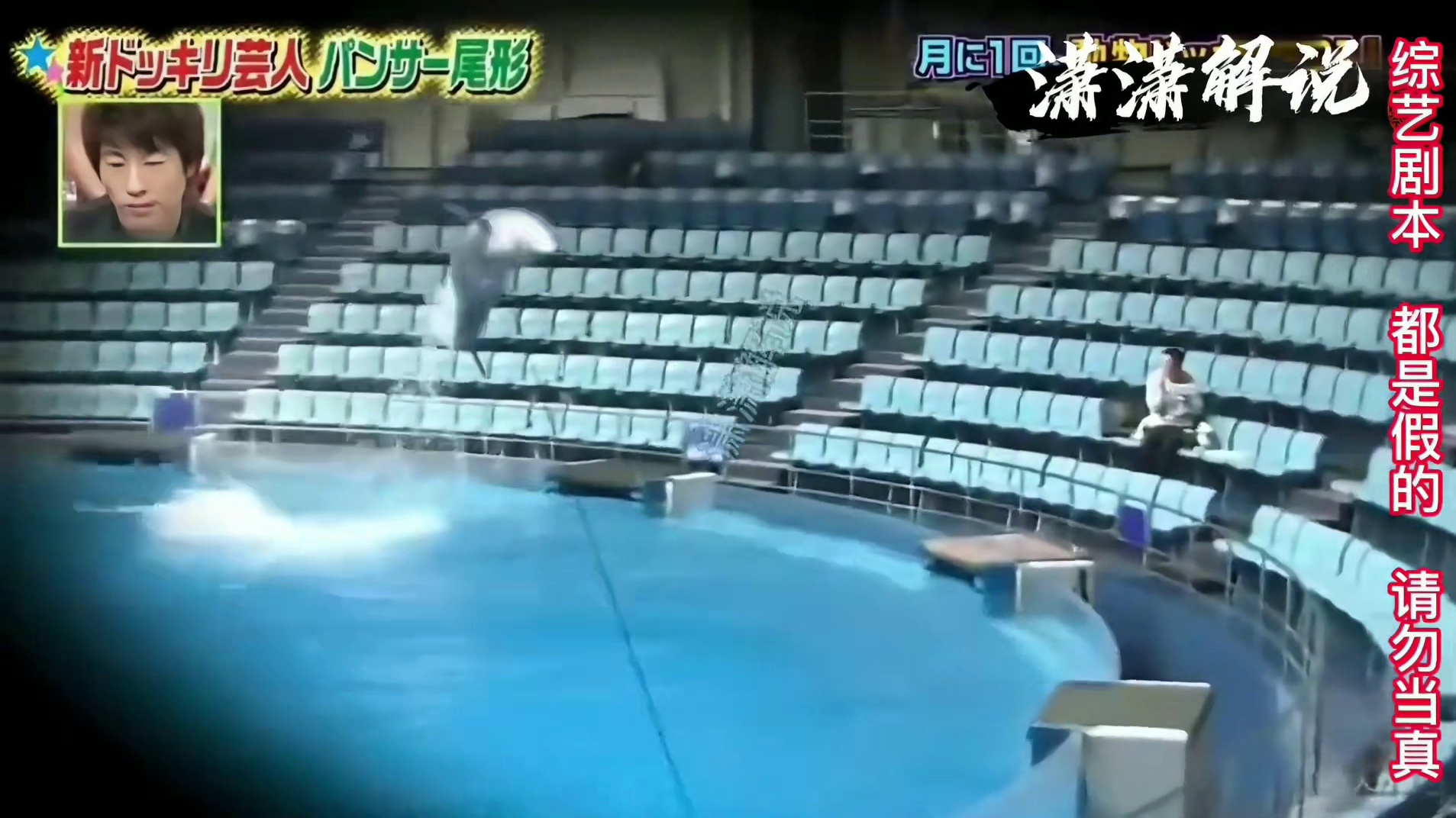 各种小动物都拿来整人了。