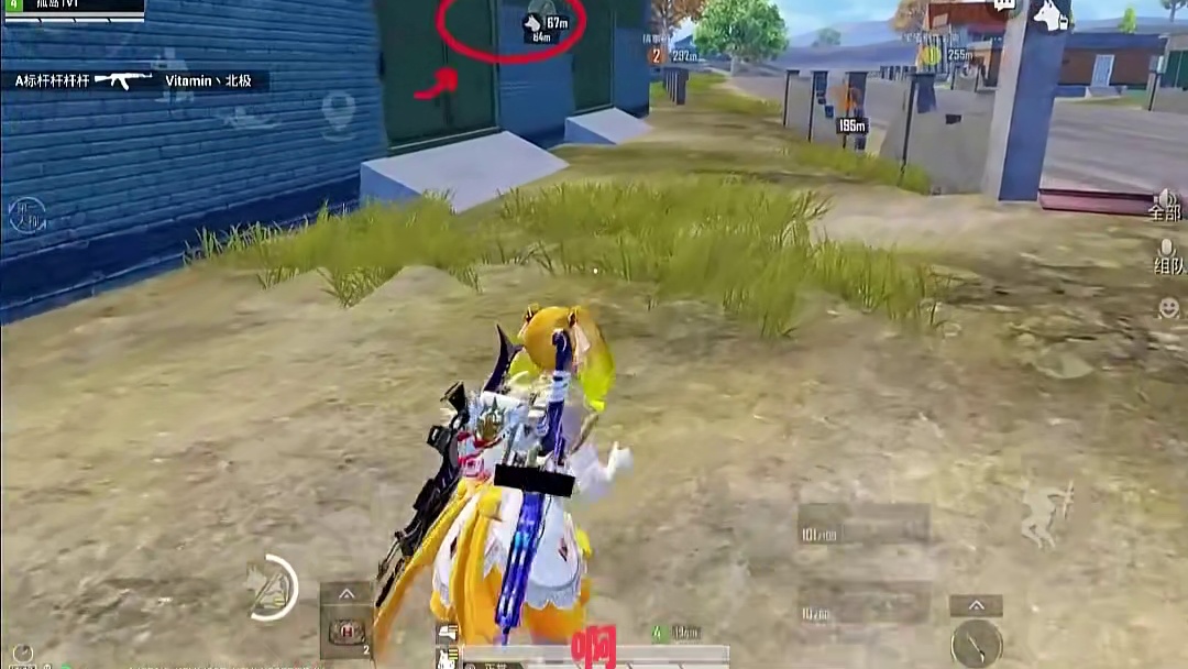 这只狗的隐藏功能，99%的人还不知道。