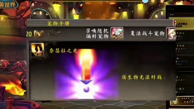 魔兽世界 蜡烛宠物