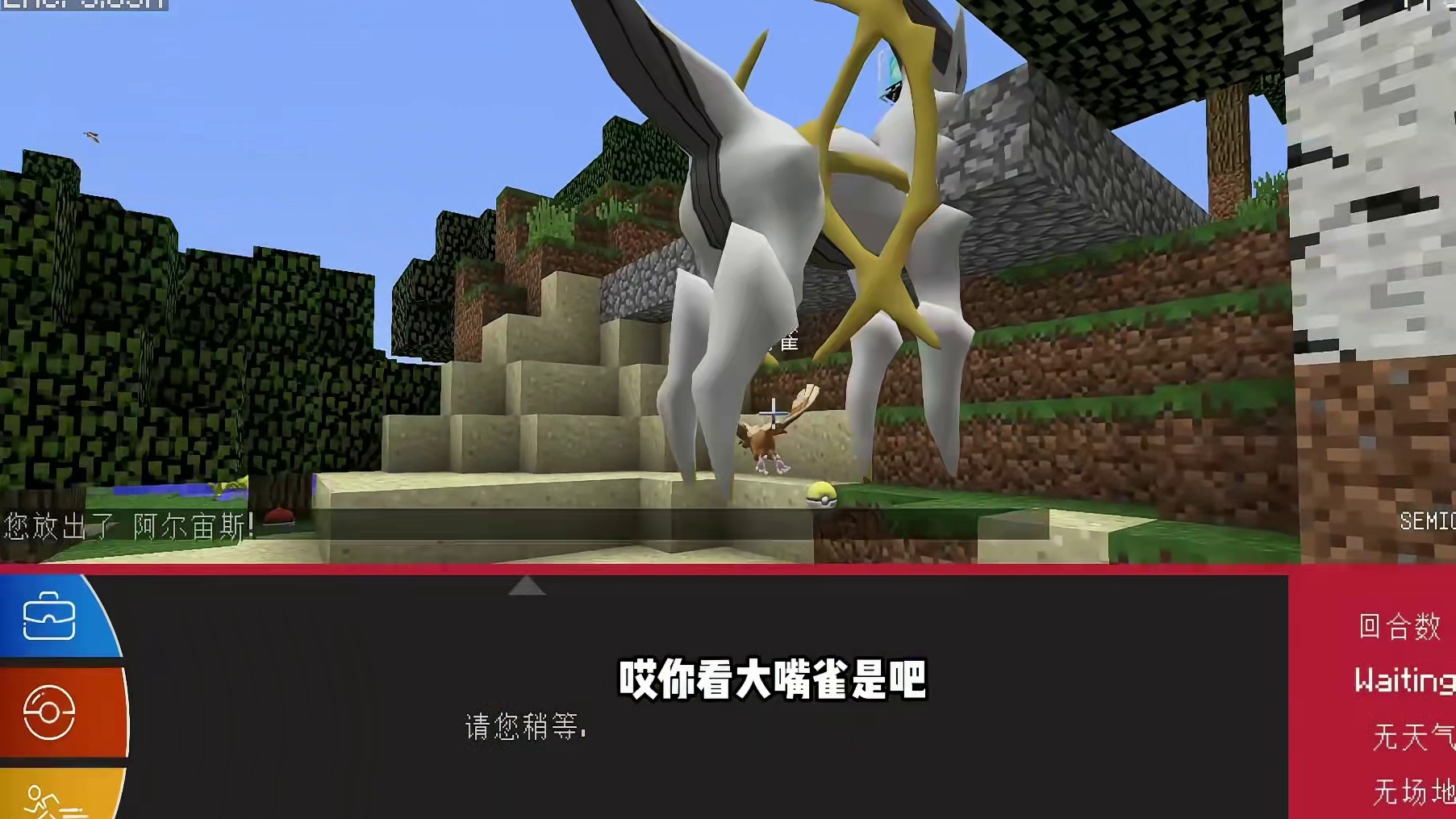 拿到石板的阿尔宙斯百变宝可梦5