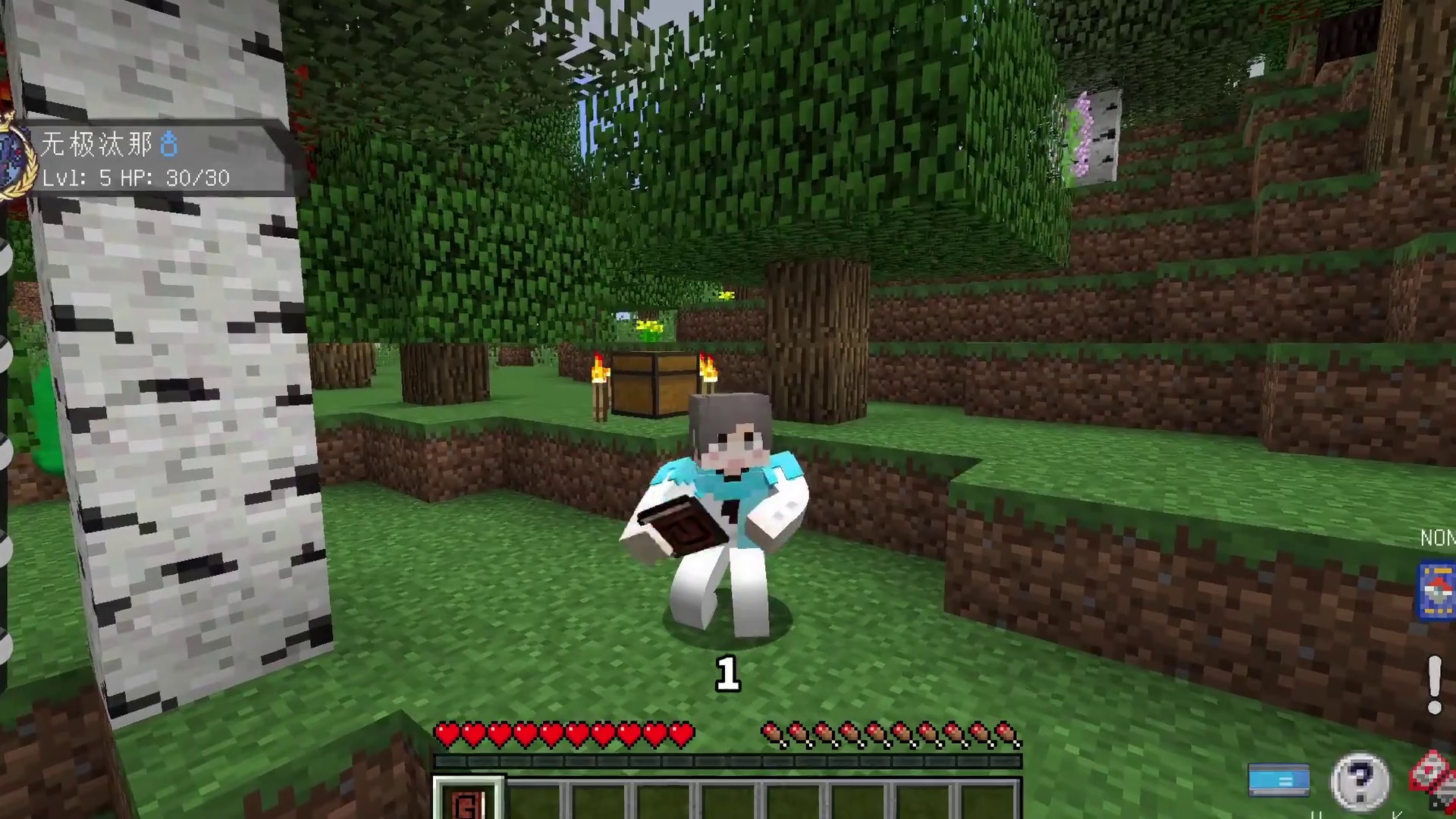 当观众决定我的游戏内容？！该如何生存下去呢？！