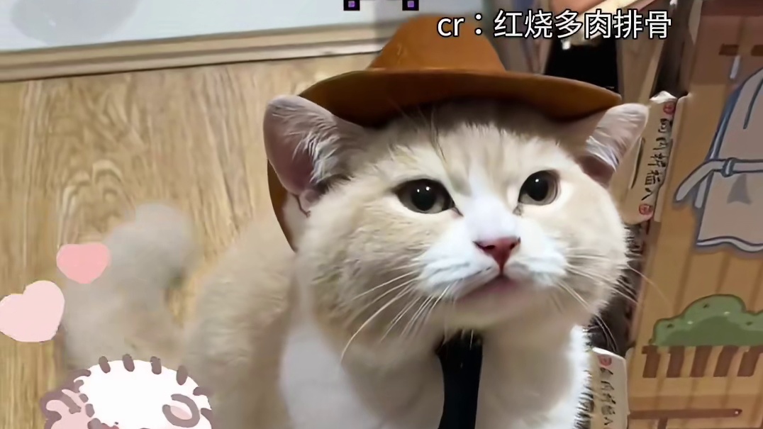 头一次见到小猫夹子音翻车真的是太可爱了