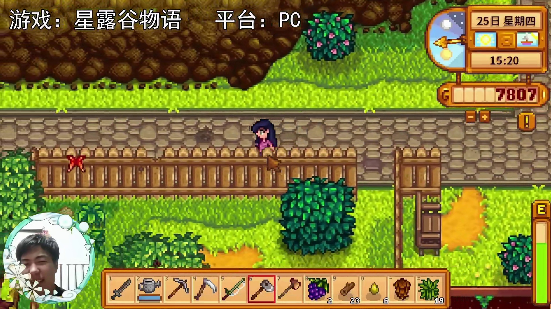 【星露谷物语】特别的回忆！